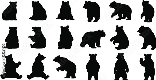 Collection of Wild Bear Silhouette Vector Illustrations Featuring Grizzly Brown and Black Bear Poses Standing Walking and Sitting for Nature Design
