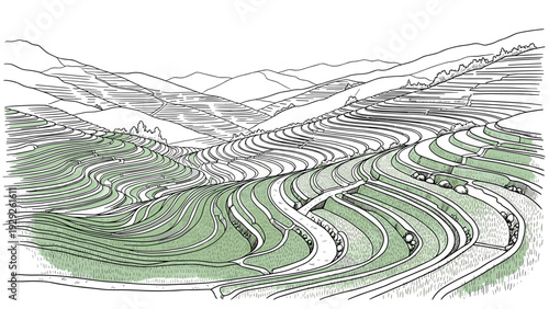 hand drawn landscape of terraced rice fields in a valley with hills in outline style