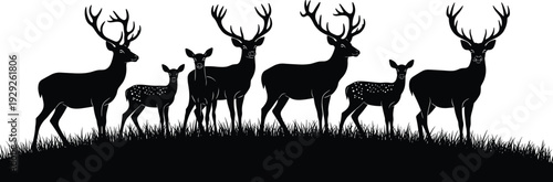 Deer family silhouette collection featuring majestic bucks with antlers and young fawns standing in grass meadow isolated on white background vector illustration set