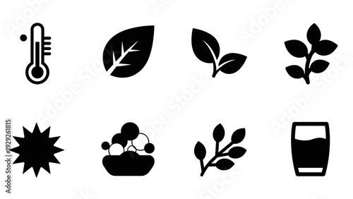 set of black silhouette nature and health icons in simple flat style