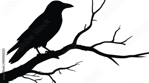 Crow silhouette perched on tree branch, raven design, mysterious bird art, nature illustration, solitude symbolism, woodland outline, dramatic wildlife concept