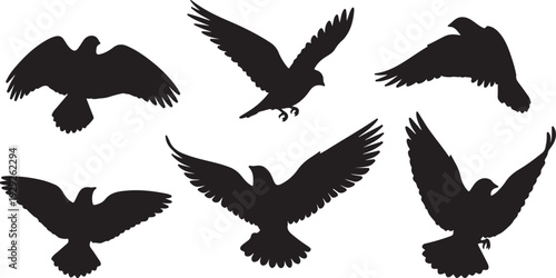 Set of 6 Black Flying Bird Silhouettes Vector isolated PNG with Transparent Background