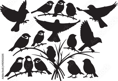 Set of 15 Black Bird Silhouettes Vector isolated PNG with Transparent Background