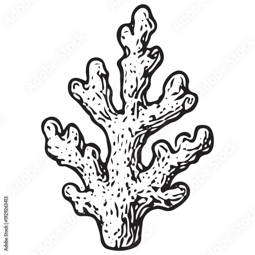 Vintage Coral Reef Branch Engraving Illustration Marine Ocean Sea Life Element