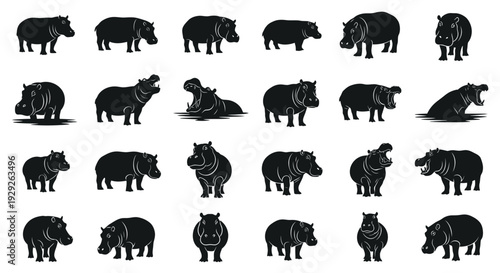 Collection of black hippopotamus silhouettes in various poses and expressions on white background