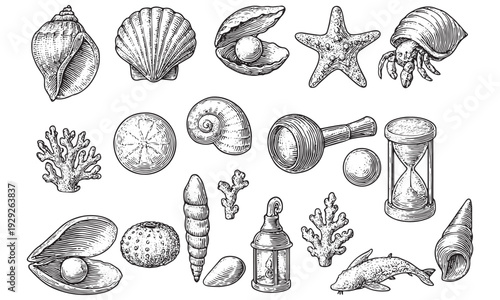 Vintage Sea Life Engraving Set