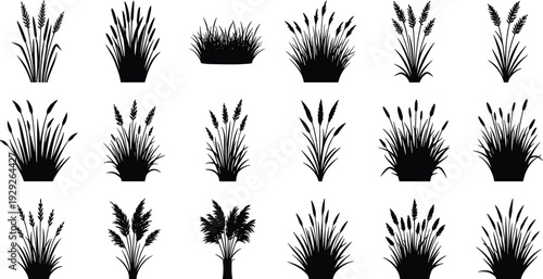 Grass and reed plant silhouettes set, wild meadow vegetation collection, botanical nature elements isolated, marsh plants, field grass icons for landscape design