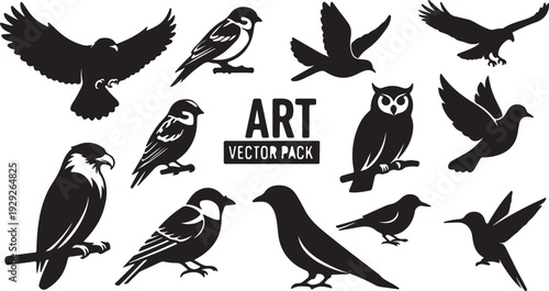 Art Vector Pack of 12 Black Bird Silhouettes isolated PNG with Transparent Background