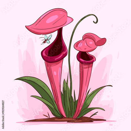Minimalist Pitcher Plant Botanical Specimen Illustration