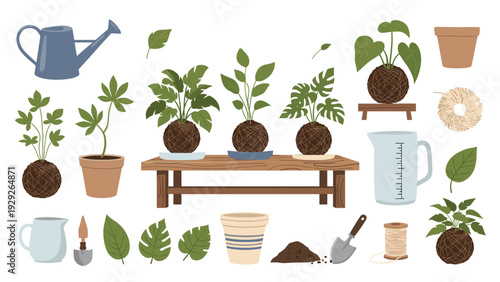Collection of gardening elements including kokedama moss balls plants tools watering can and pots on a white background.