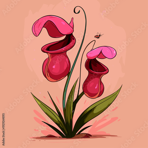 Minimalist Pitcher Plant Botanical Specimen Illustration