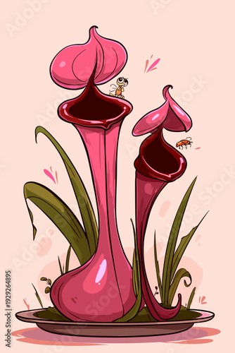 Minimalist Pitcher Plant Botanical Specimen Illustration
