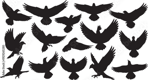 Set of 15 Black Flying Bird Silhouettes Vector isolated PNG with Transparent Background