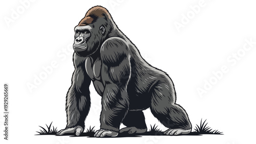 A powerful gorilla stands on a grassy plain.