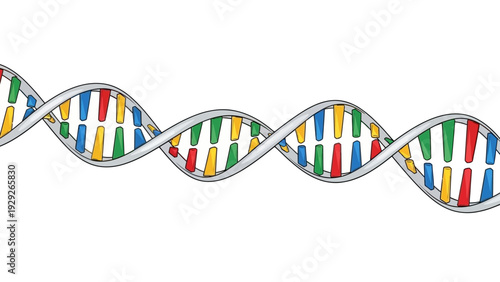Illustration of a colorful DNA double helix on a white background