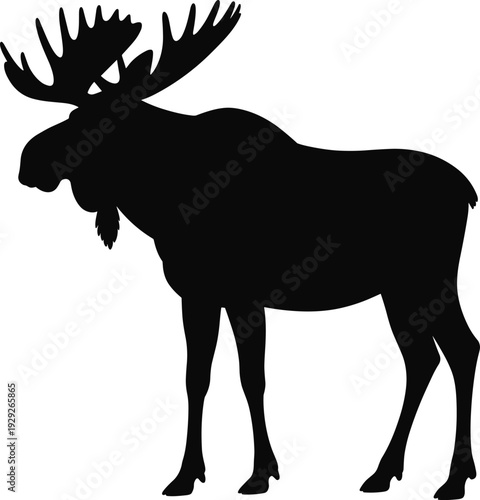 Moose silhouette standing profile, wildlife design, nature illustration, forest animal outline, rustic art, antler symbol, wilderness strength, outdoor concept