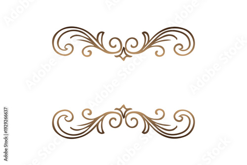 Vector presents two simple calligraphy inspired ornaments with abstract swirls and artistic curves, forming a graceful frame in clean flowing lines.