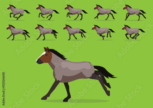 Roan Horse Animation Sequence Running Cartoon Vector Illustration