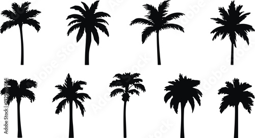 Set of four diverse women silhouettes pointing up and looking towards copy space isolated on white background for presentation and advertising