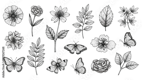 Comprehensive set of black and white botanical illustrations includes various flowers leaves and butterflies in a fine sketch style.