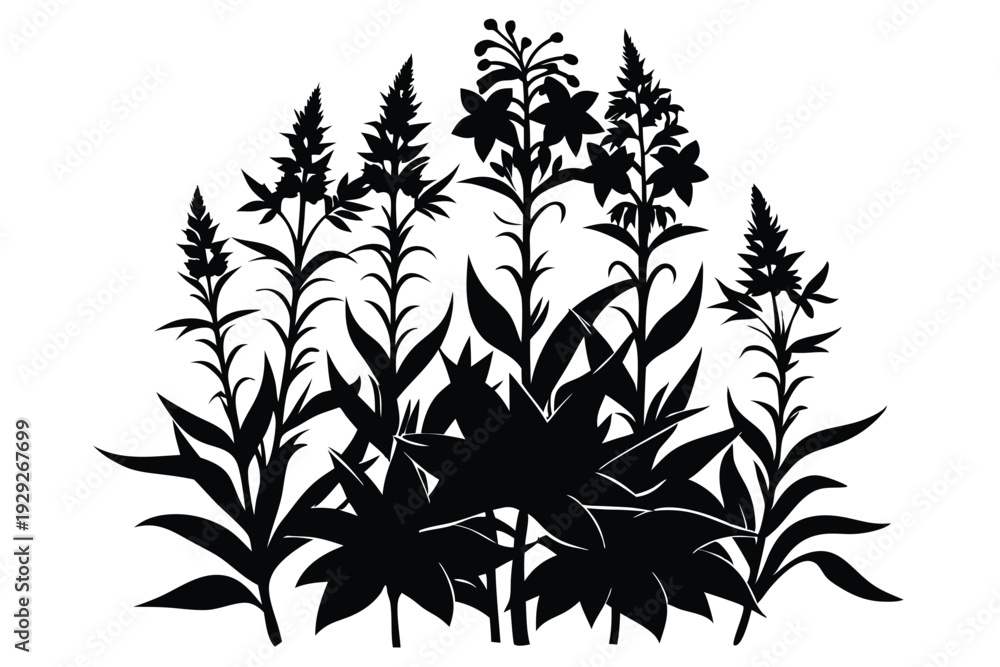 Fototapeta premium fireweed wild silhouette line art vector illustration