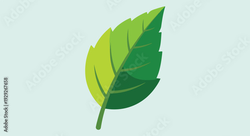 A vibrant, detailed illustration of a green leaf (2)