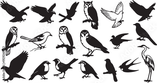 Set of 20 Black and White Bird Silhouettes Vector isolated PNG with Transparent Background