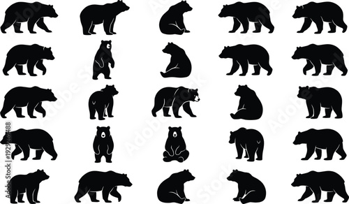Black bear silhouette set in various poses, grizzly and polar animal vector collection standing, walking and sitting for nature, forest and wildlife design