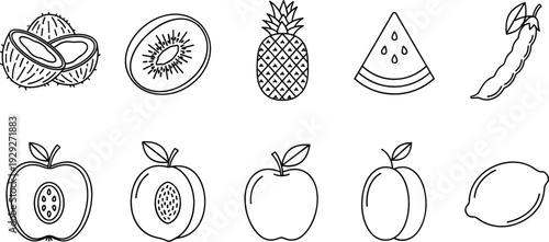 Tropical and Fresh Fruit Outline Icon Set with Apple Pineapple Watermelon Kiwi Lemon and Coconut Line Illustrations