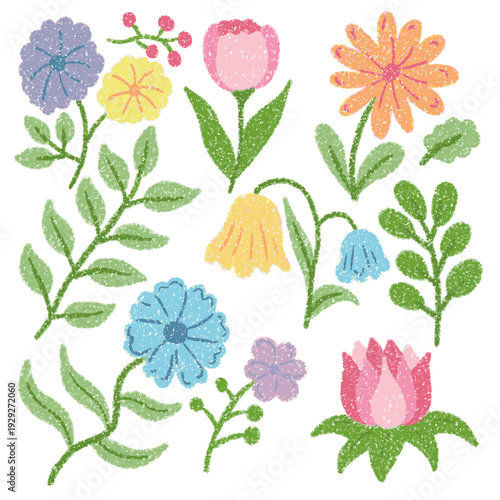 Colorful hand drawn floral collection with crayon and pastel texture. Chalk botanic bold floral elements. Grunge crayon textured branches, leaves, and wild flowers vector illustration