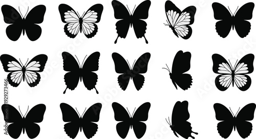 Butterfly silhouettes collection with diverse wing shapes, insect design, entomology illustration, biological diversity concept, nature art, pattern recognition study