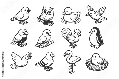Black and white bird illustrations: owl, duck, flamingo, penguin, dove, parrot, rooster.