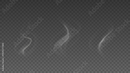 Smoke isolated on transparent background. Vector fog, vapor set.	