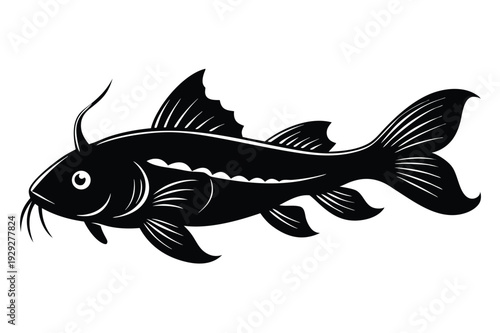 corydoras catfish silhouette line art vector illustration
