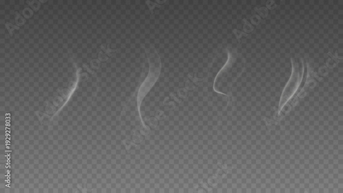 Smoke isolated on transparent background. Vector fog, vapor set.	