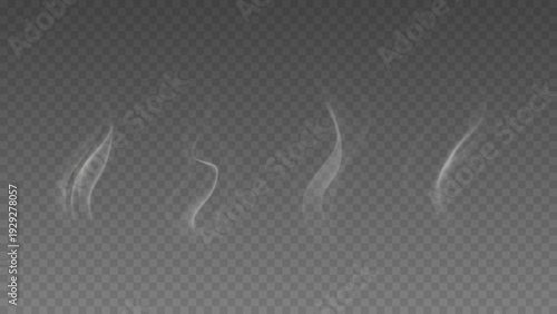 Smoke isolated on transparent background. Vector fog, vapor set.	