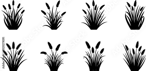 Collection of black silhouettes of grass and reeds on a white background