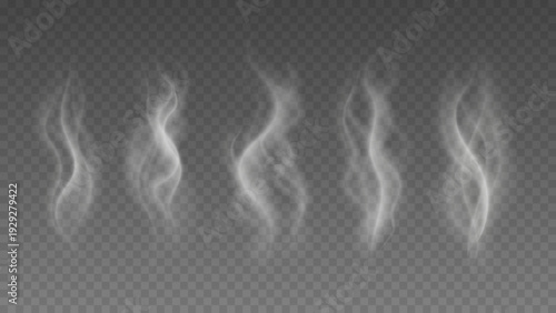 Smoke isolated on transparent background. Vector fog, vapor set.	