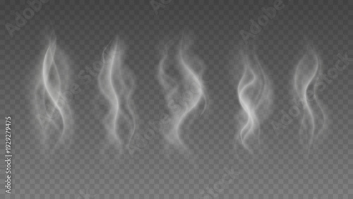 Smoke isolated on transparent background. Vector fog, vapor set.	