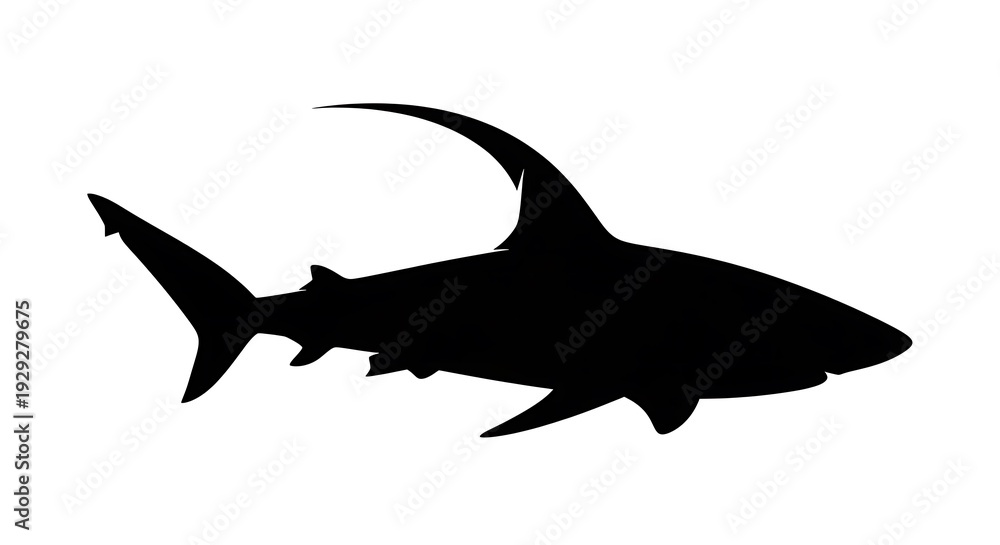 Fototapeta premium Black silhouette of a shark swimming.