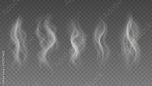 Smoke isolated on transparent background. Vector fog, vapor set.	