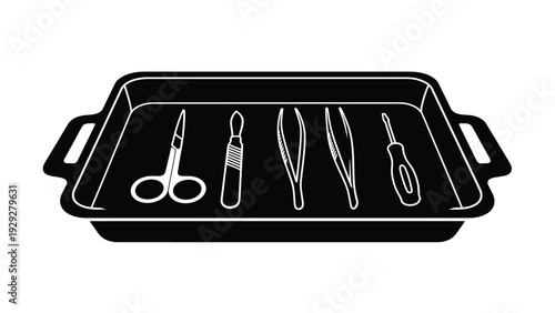 A collection of essential surgical or precision tools displayed neatly inside a sterilized instrument tray for medical procedures