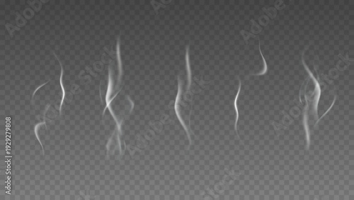 Smoke isolated on transparent background. Vector fog, vapor set.	