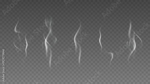 Smoke isolated on transparent background. Vector fog, vapor set.	