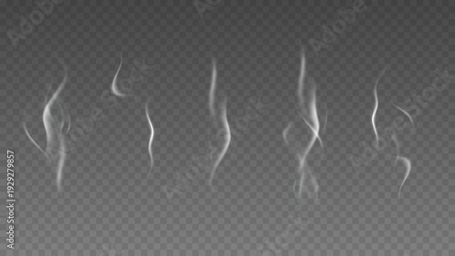 Smoke isolated on transparent background. Vector fog, vapor set.	