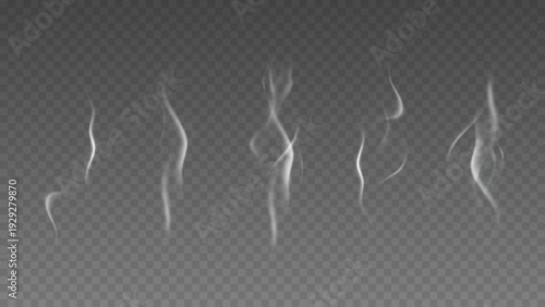 Smoke isolated on transparent background. Vector fog, vapor set.	