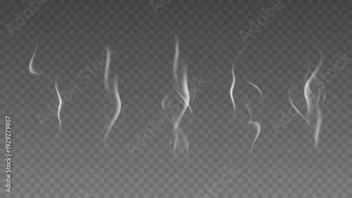 Smoke isolated on transparent background. Vector fog, vapor set.	