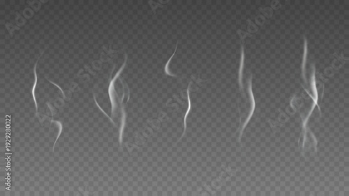 Smoke isolated on transparent background. Vector fog, vapor set.	