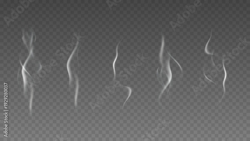 Smoke isolated on transparent background. Vector fog, vapor set.	