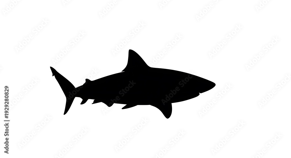 Fototapeta premium Black silhouette of a shark swimming.